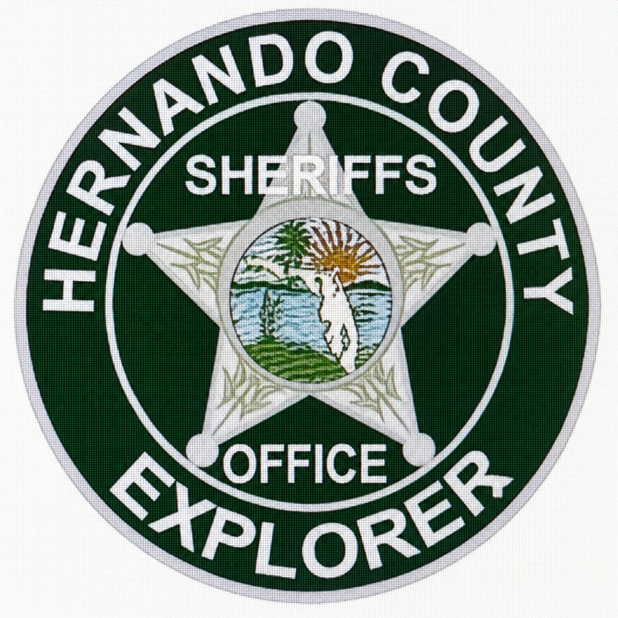 Explorer Post 409 badge